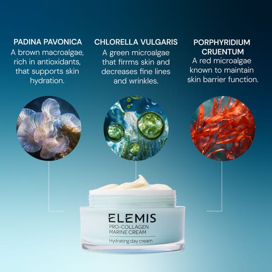 Pro-Collagen Marine Cream