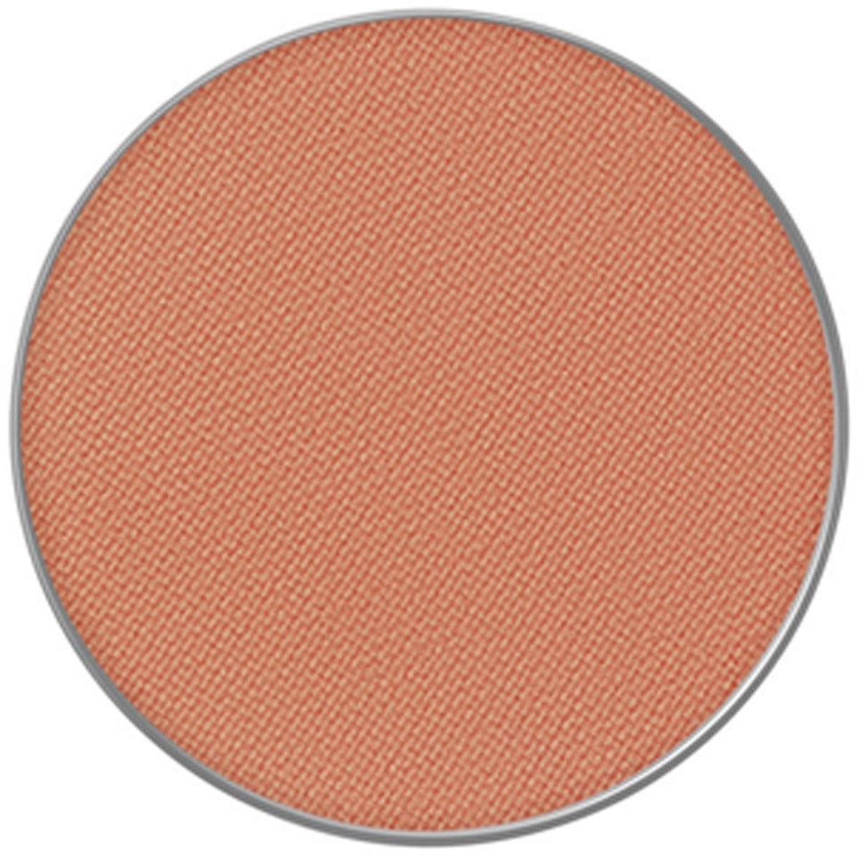 Powder Kiss Eye Shadow Pro Pale 10 GIVE A GLAM