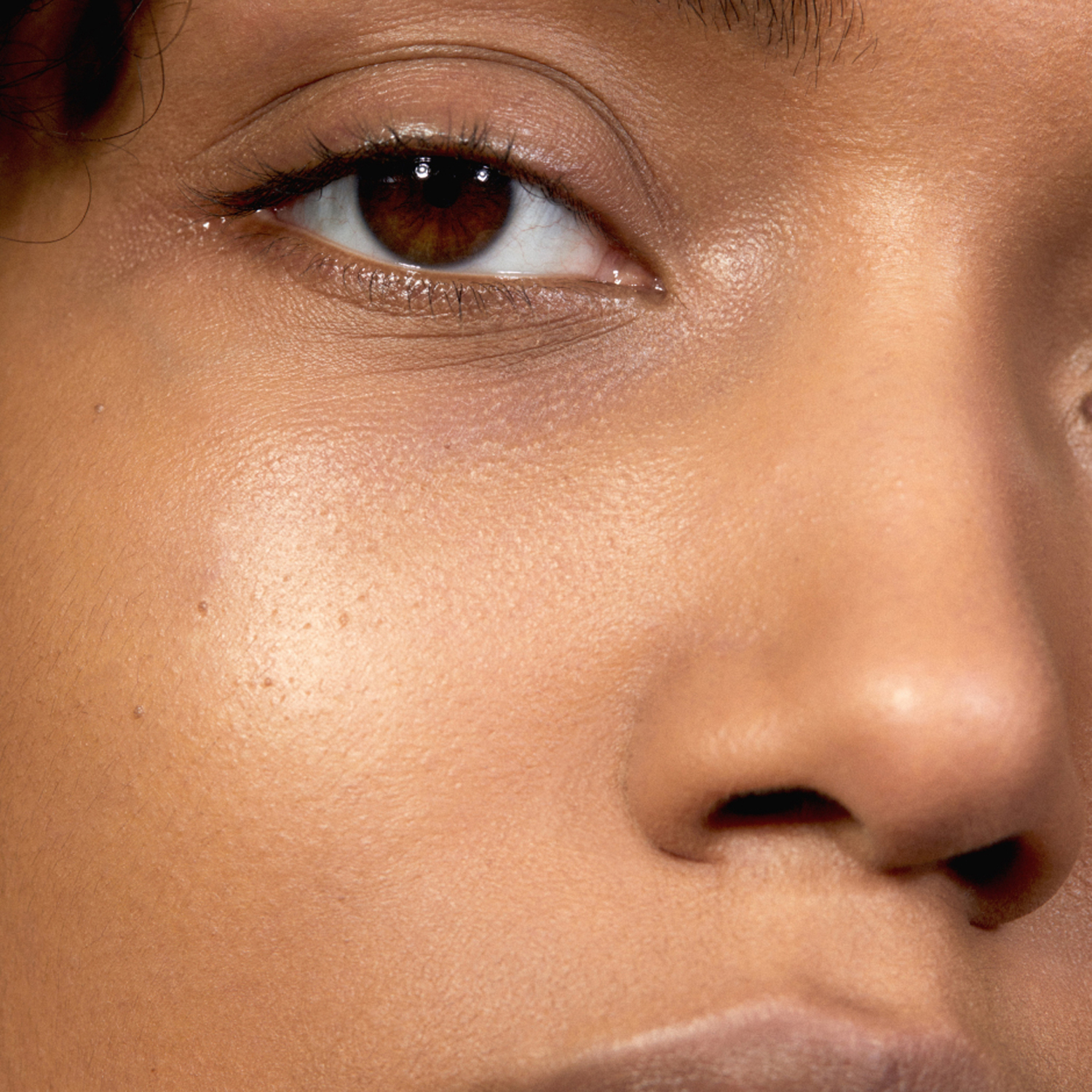THE CONCEALER