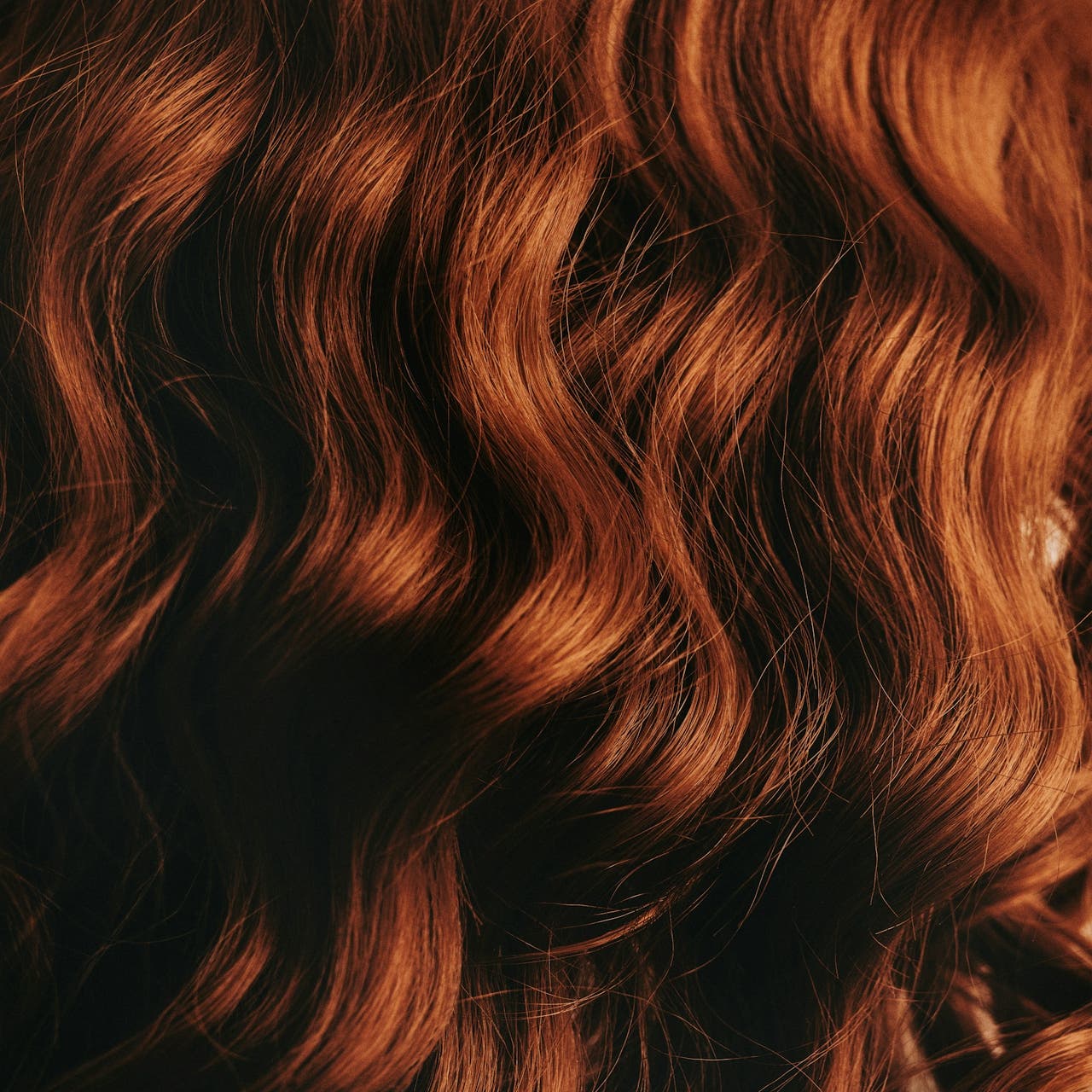 Locktång Bäst i test 2026: Här är de 6 bästa valen!