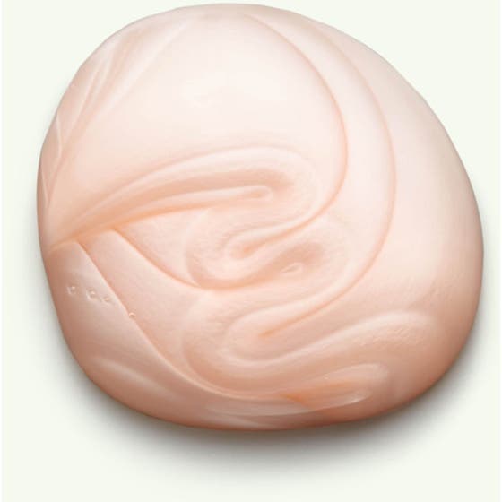 Scalp Care & Styling Essentials