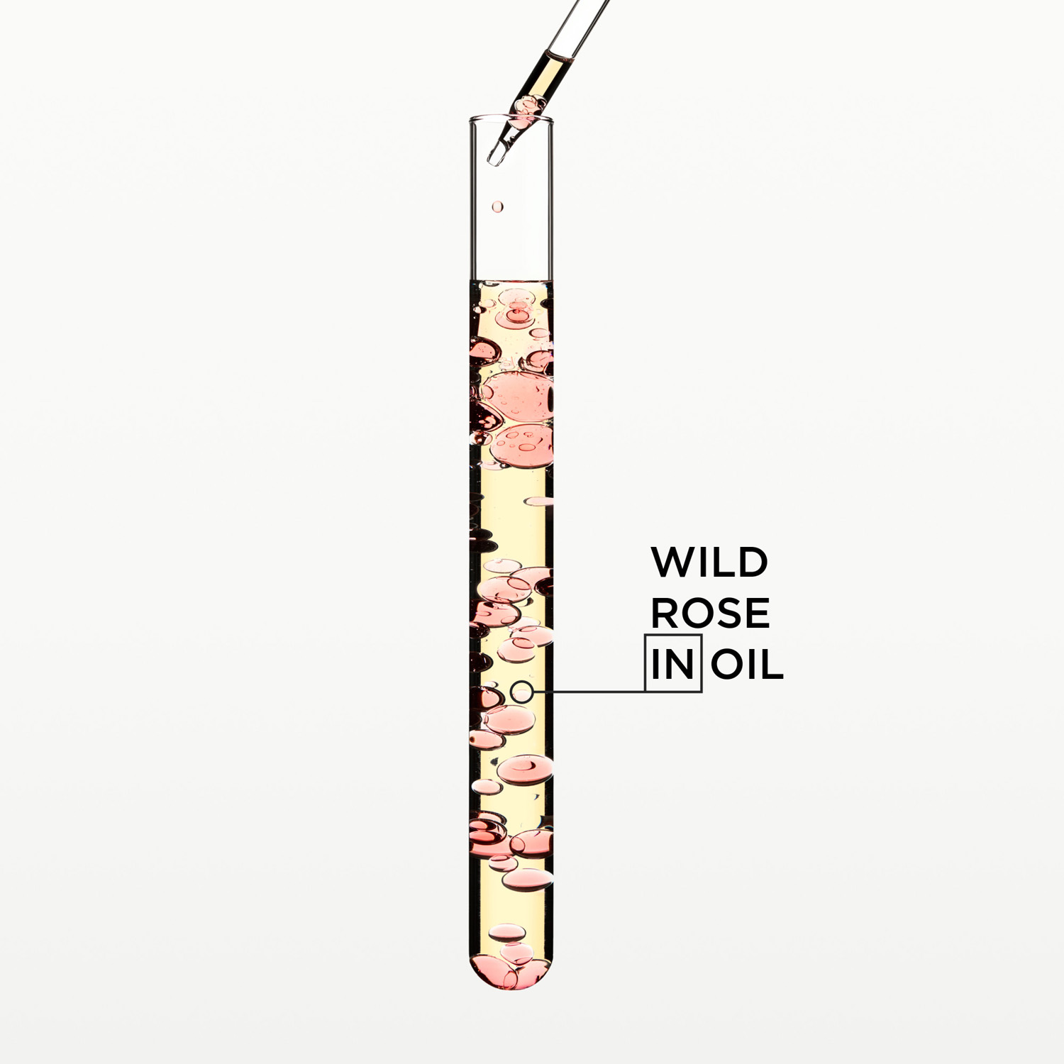 Gloss Absolu