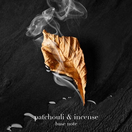 Acqua Di Giò Parfum Refill Pack