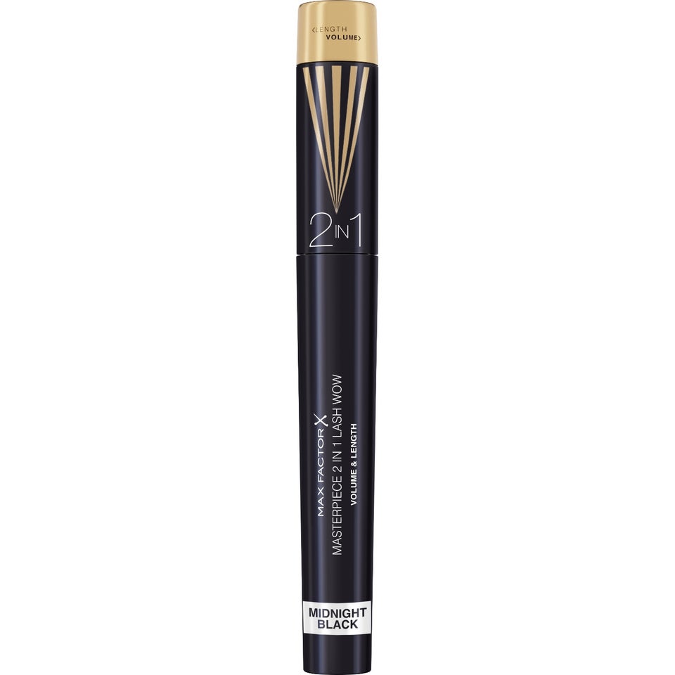 Masterpiece 2in1 Lash Wow