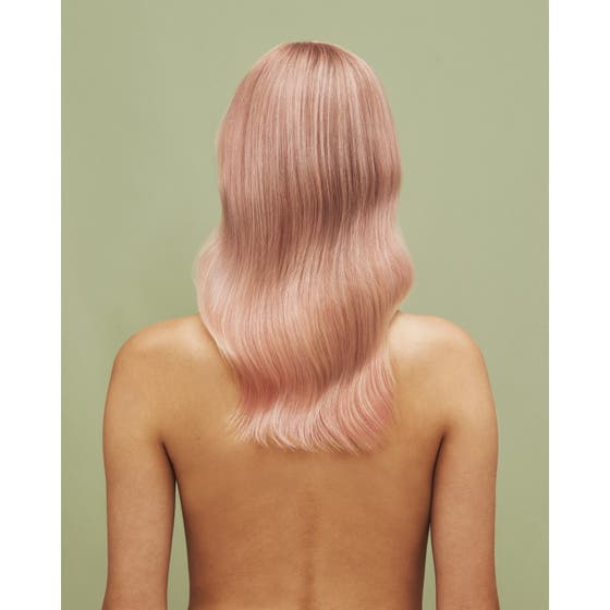 Color Refresh