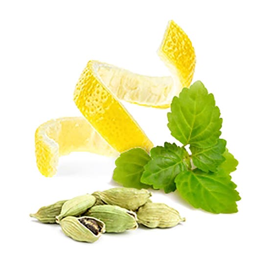 UEFA Champions Edition