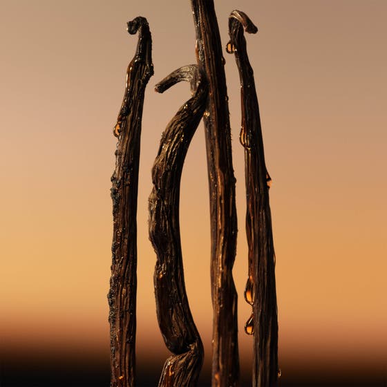 Goddess Amber Vanilla Intense
