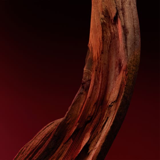 The Scent Elixir Parfum