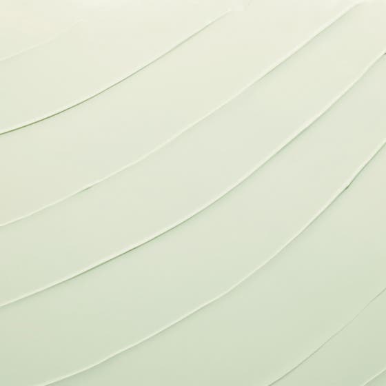 DayWear Anti-Oxidant Creme SPF 15