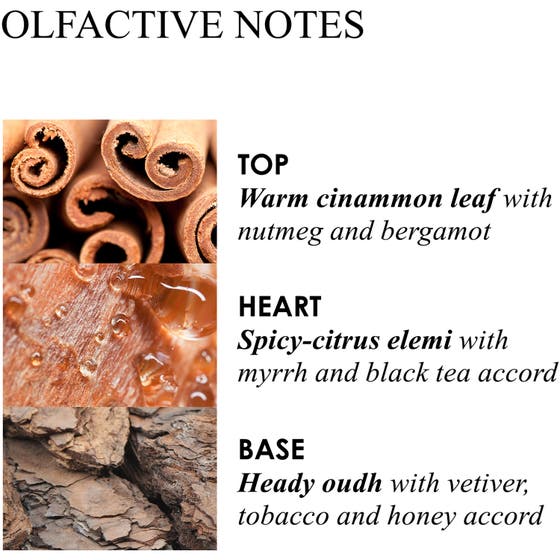 Mesmerising Oudh Accord & Gold Bath & Shower Gel