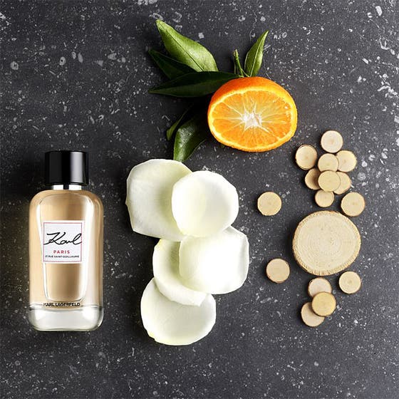 Paris Saint Guillaume