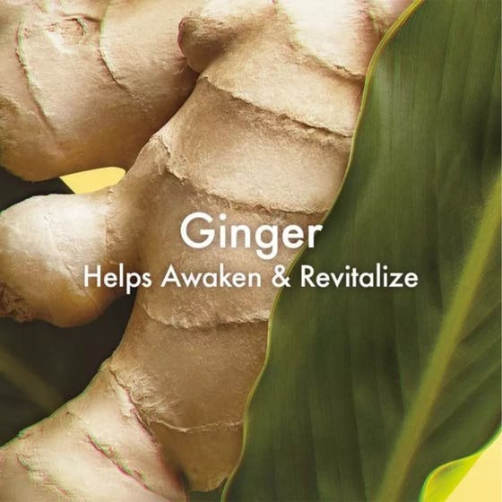 Ginger Essence Rollerball
