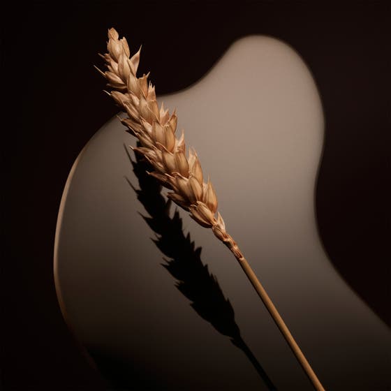 The Scent Magnetic For Him