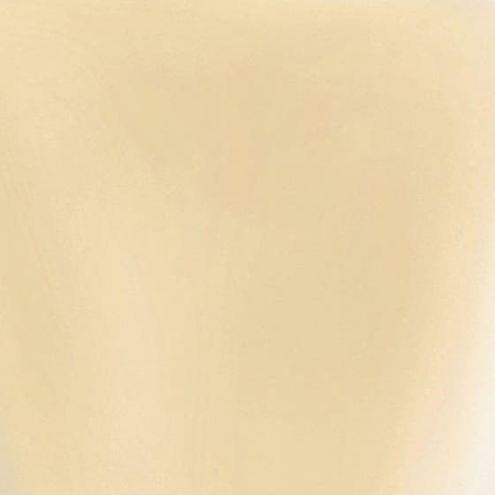 Probiotic Protection Nail Treatment