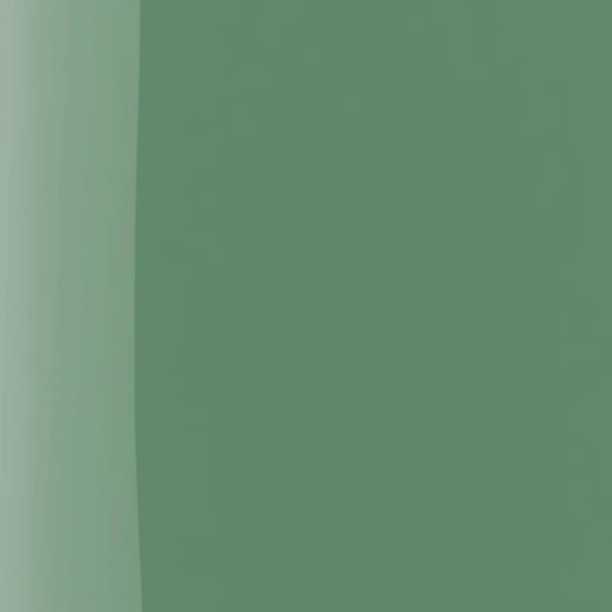 The Wonder Nail Polish Quick Dry & Longwear