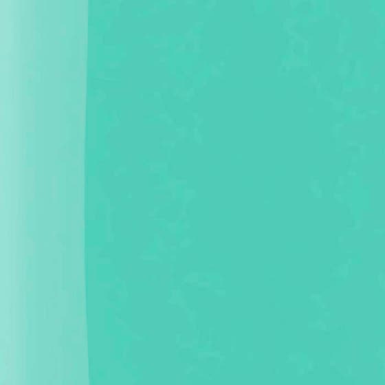 The Wonder Nail Polish Quick dry & Longwear