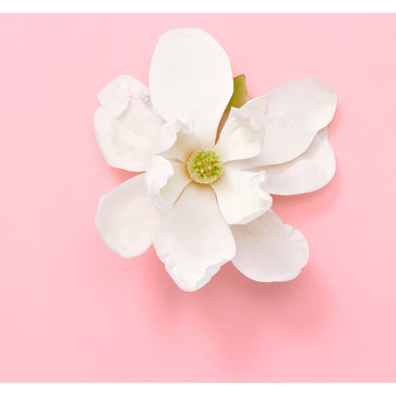 Gucci Flora Gorgeous Jasmine Eau de Parfum 50 ml dameparfyme flankert av fargerike flasker i blomsterprakt