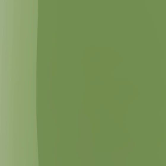 The Wonder Nail Polish Quick dry & Longwear