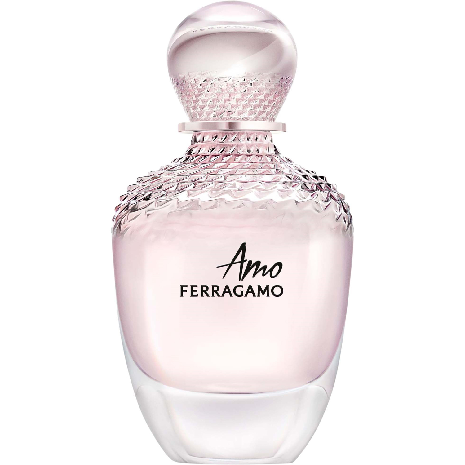 Amo