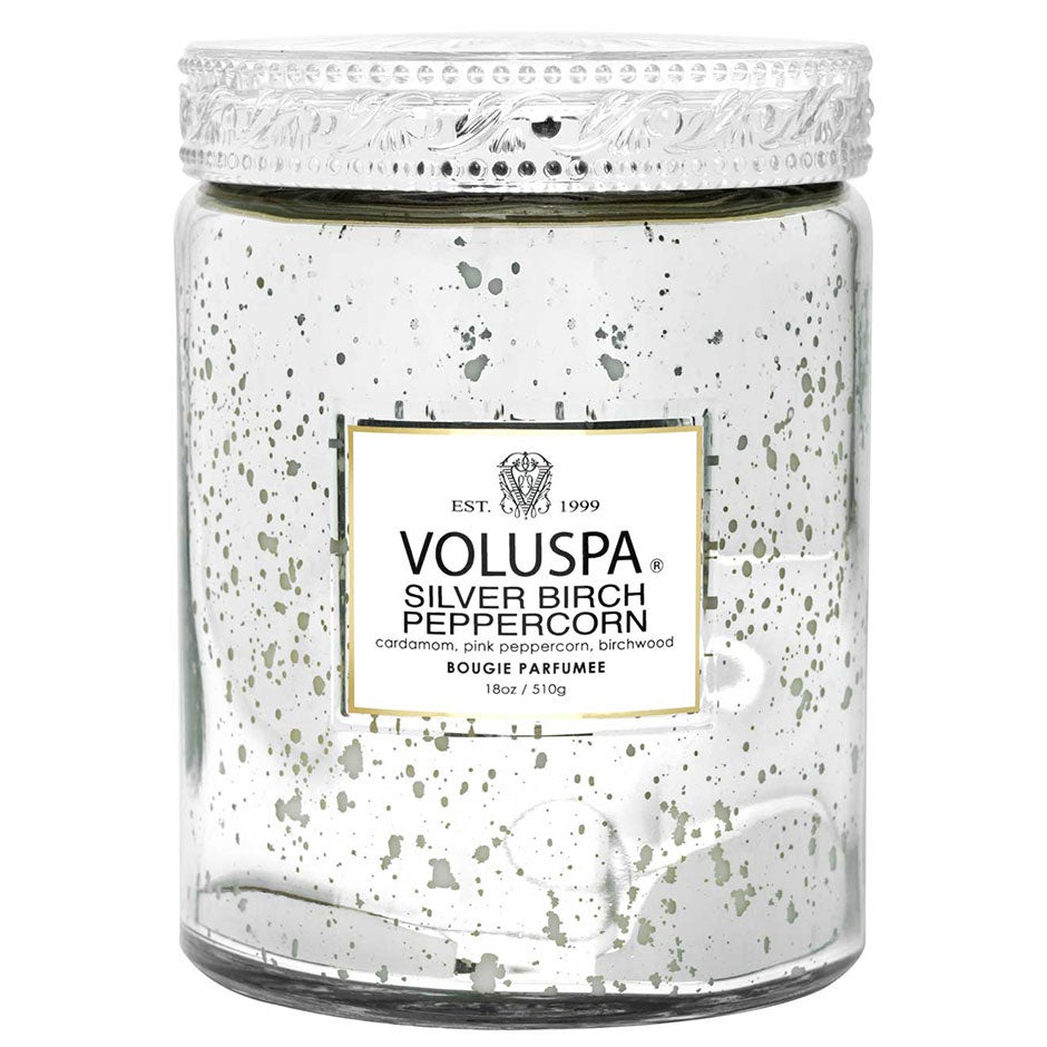 Voluspa Large Jar Candle Silver Birch Peppercorn 100h 510 g