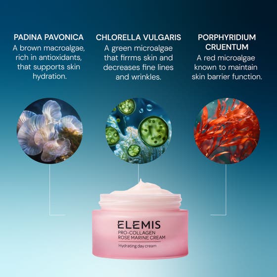 Pro-Collagen Rose Marine Cream