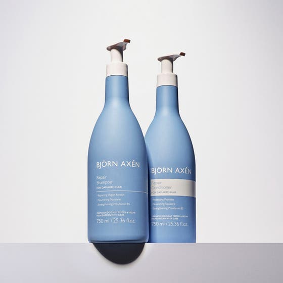 Hair Repair Starter Set