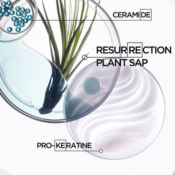 Specifique & Resistance Set