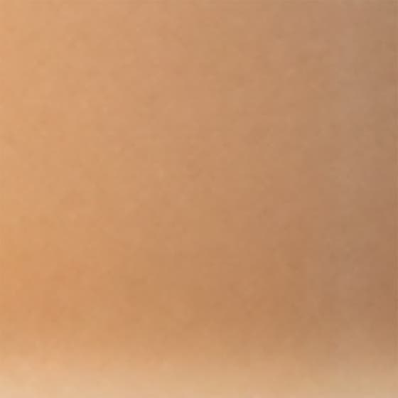 Natural Glow Fluid Foundation SPF20