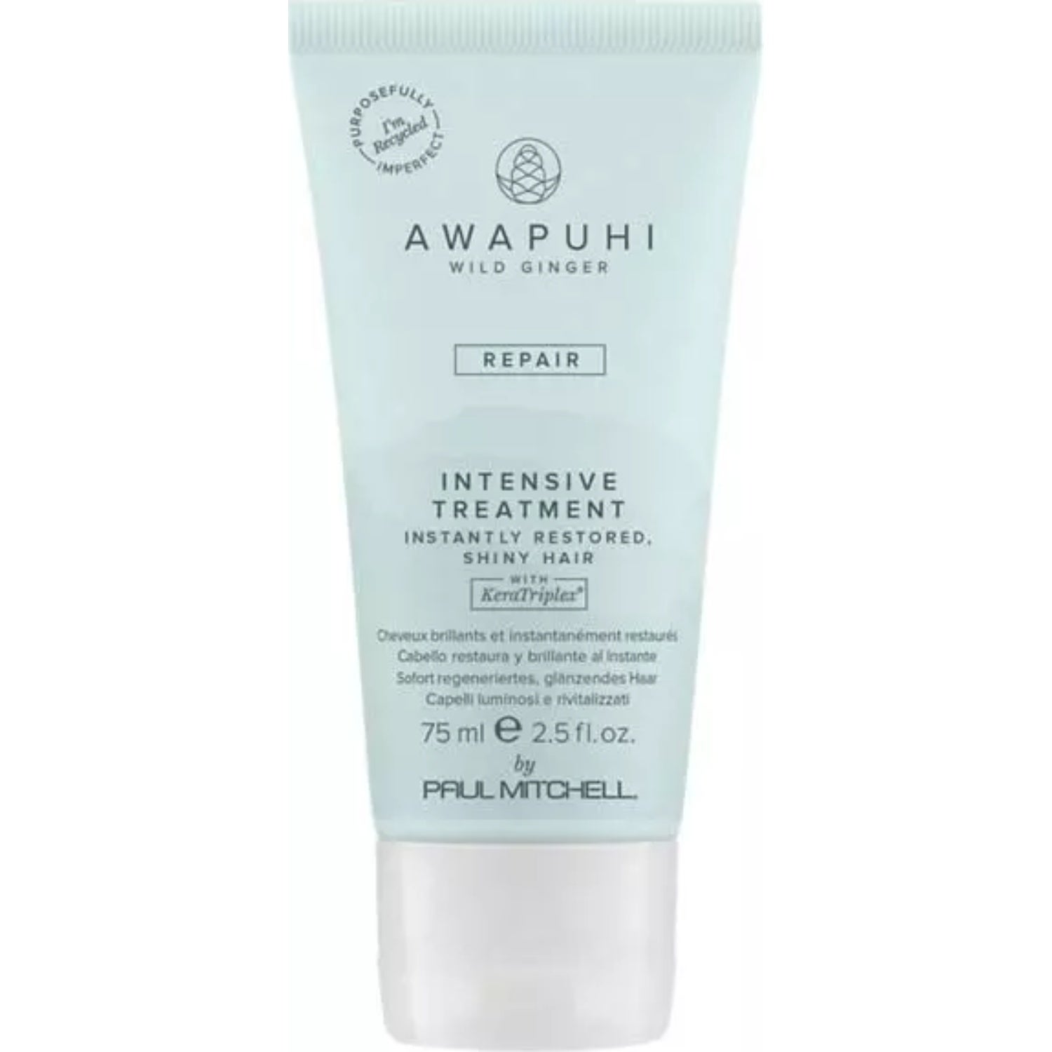 Paul Mitchell Awapuhi Wild Ginger Keratin Intensive Treatment