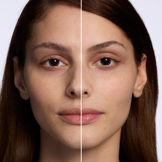 The Perfector Poreless Blur Primer