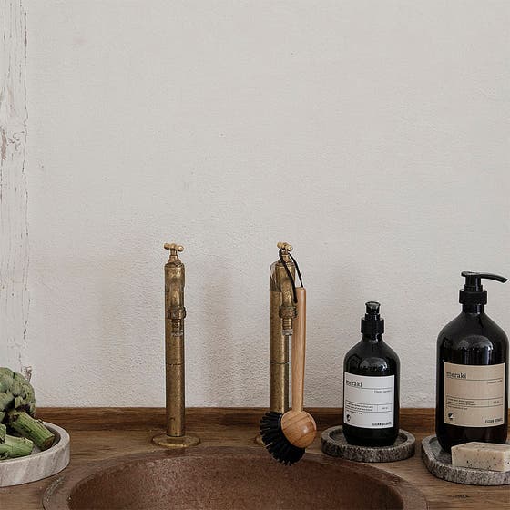 Dish Wash Forest Garden