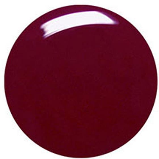 Gel Builder Starter Kit