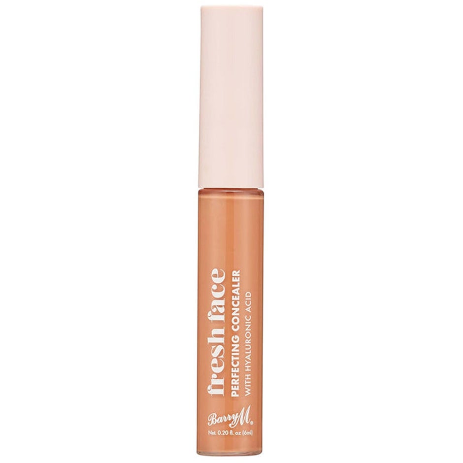 Fresh Face Perfecting Concealer