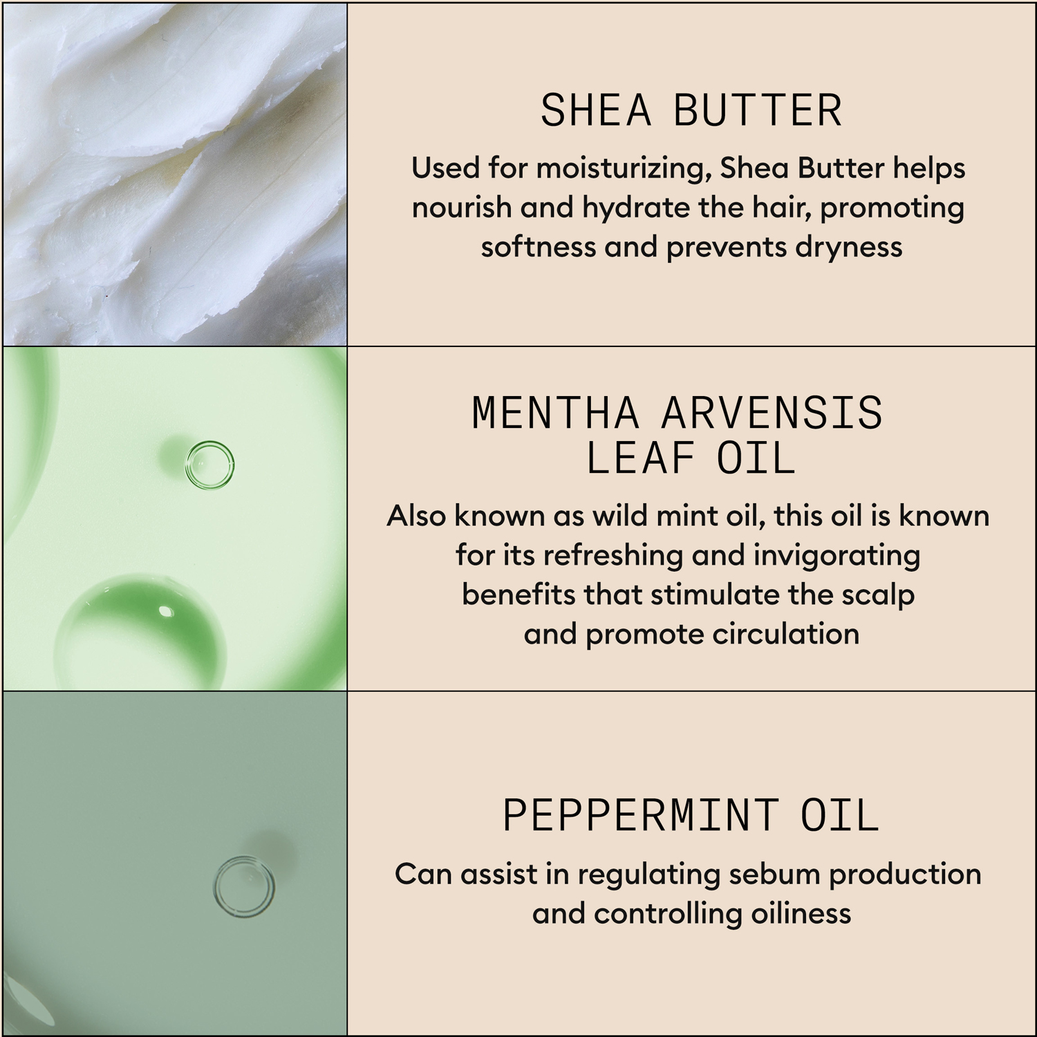 Scalp Purifying Exfoliator