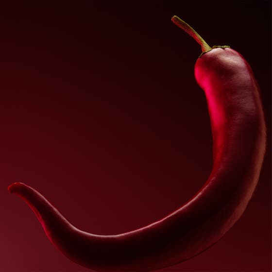 The Scent Elixir Parfum