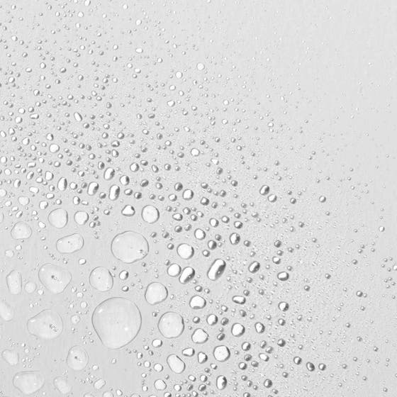 Duo Multi-Active Toner