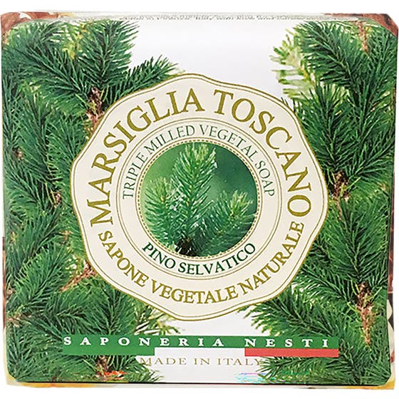 Marsiglia Toscano Pino Selvatico