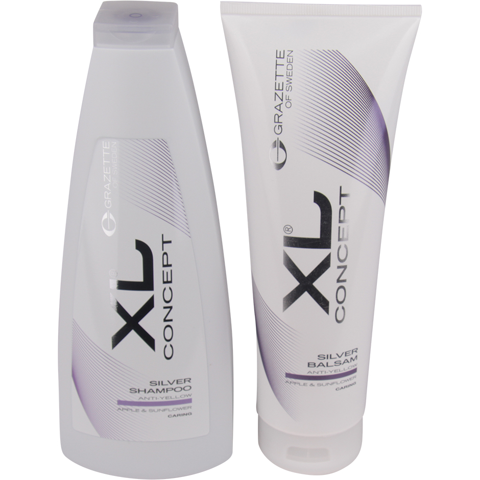 XL Concept