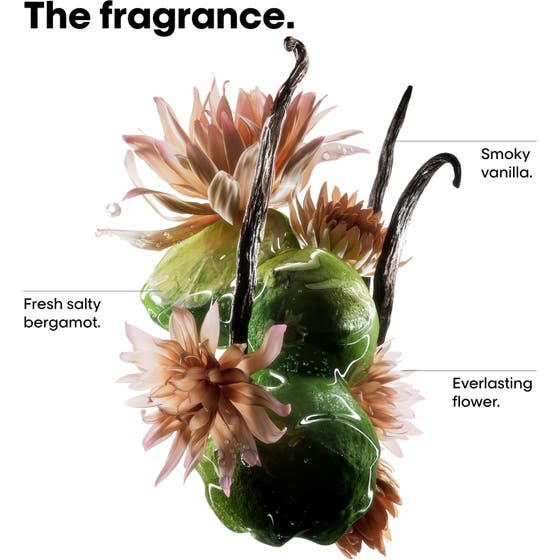 Absolut Repair Molecular Discovery Set Mini