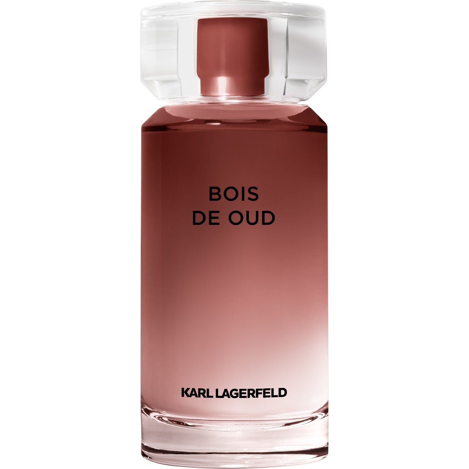 Karl Lagerfeld Les Parfums Matières Bois de Oud Eau de Toilette - 100 ml