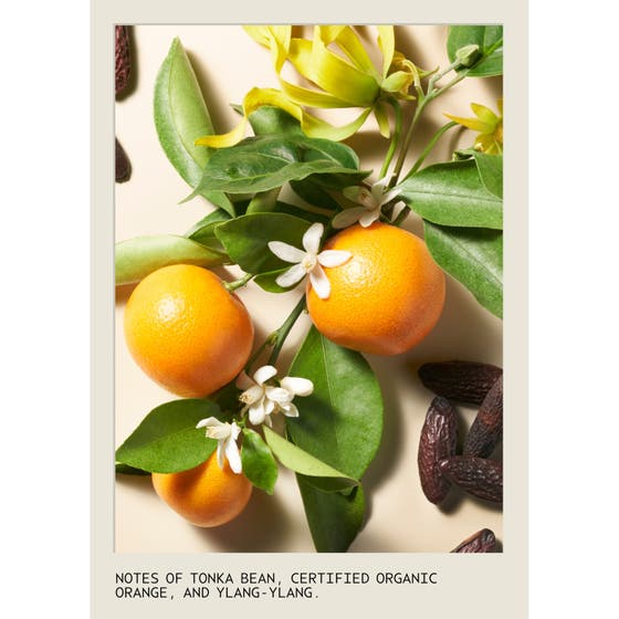 Cherry Almond Shampoo