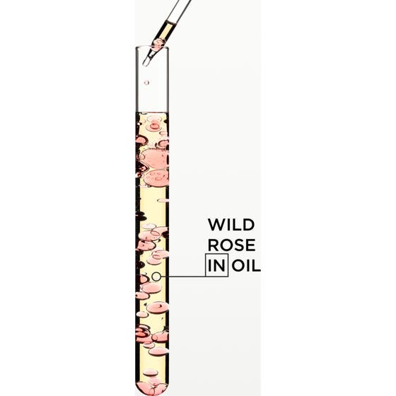 Gloss Absolu