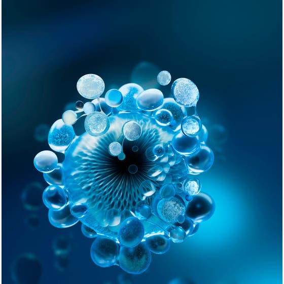 Lait Corporel - Bodylotion Duo