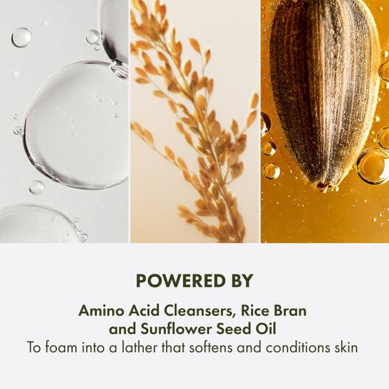 Checks and Balances™ Gentle Foaming Face Wash