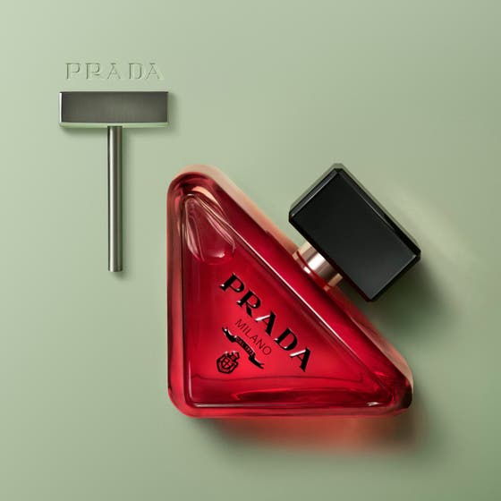 Paradoxe Radical Essence