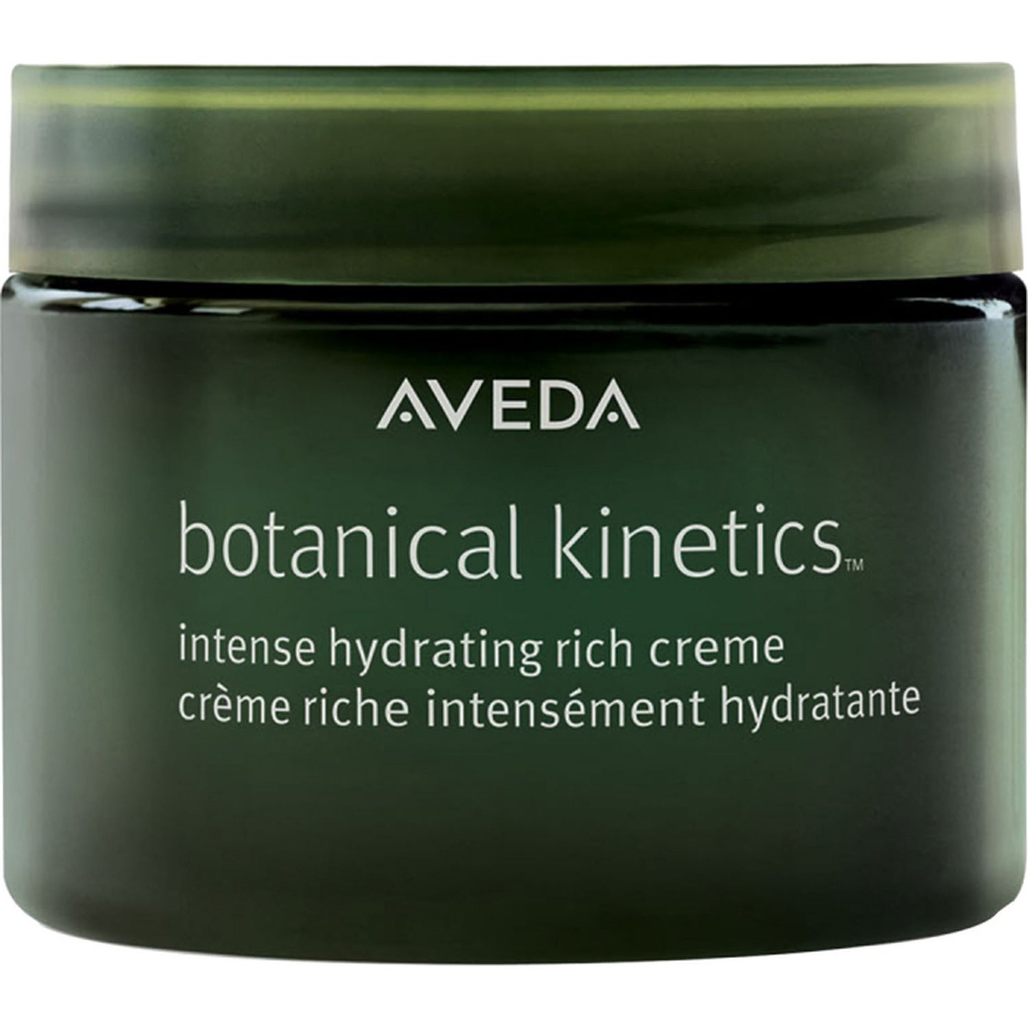 AVEDA Botanical Kinetics Intense Hydrating Rich Creme ansiktskräm & serum herr