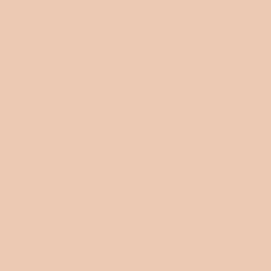 Long-wear Concealer Waterproof