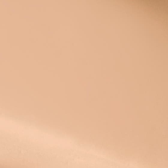 The No Compromise 2-in-1 Soft-Matte Foundation & Concealer
