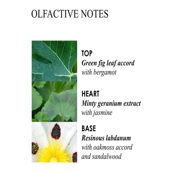 Geranium Nefertum Bath & Shower Gel