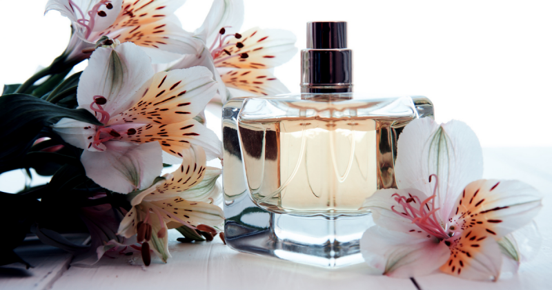 Toppliste dameparfymer 2024